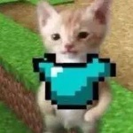BloxyCola96 member profile picture