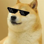 Dervin member profile picture