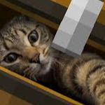 NotTerra_CZ member profile picture