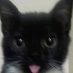 Leonardprox member profile picture