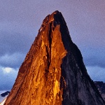 FernandogutoTerex member profile picture