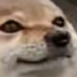 Radoactive_Bone member profile picture