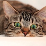 jiji505 member profile picture