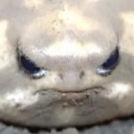 user_jps9oop124uojc83 member profile picture