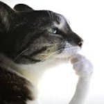 Eprox member profile picture
