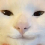 SaltedGirl member profile picture