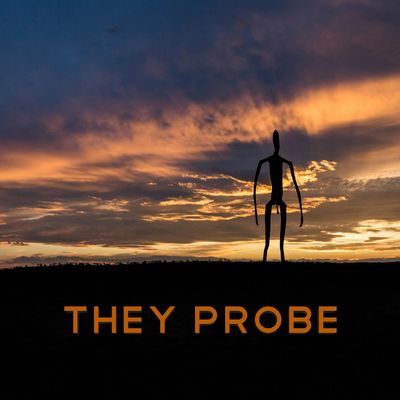THEY PROBE logo