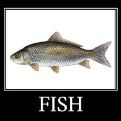 FISH Pack