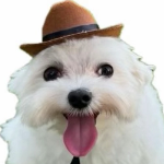 Freet member profile picture