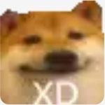 Styledog member profile picture
