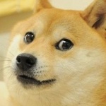 OAOPPK8877 member profile picture