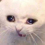 lankysoda member profile picture