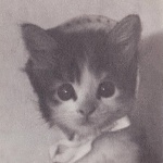 aleimoon member profile picture