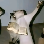 Meow900000 member profile picture