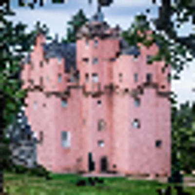Pink Castle logo