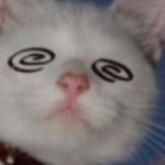 XboxCat member profile picture