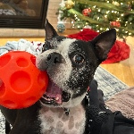 View Peteutyvy9519's Profile