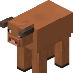 Josecito member profile picture