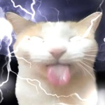 Leozin56 member profile picture