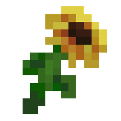 Wow Sunflowers!