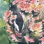 spider_mon member profile picture