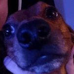Yanowme member profile picture