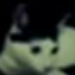 veyd member profile picture