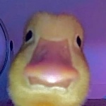 ItzDonline member profile picture