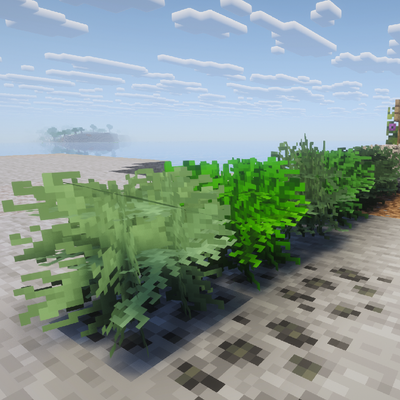Xemtori Leaves