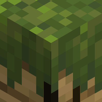 Fancy Carpets