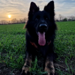 View deathwing1337's Profile