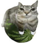 JxstCris_ member profile picture