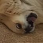 View Nomiis's Profile