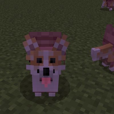 Villager and corgi army