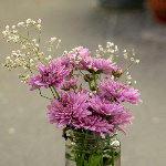 FlowerGuy member profile picture