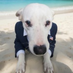 Marcelo3085 member profile picture