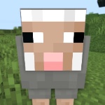 1benutzer member profile picture