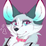 LtHans02 member profile picture