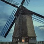 Don_Quixote312341 member profile picture