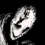 Pajon member profile picture