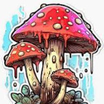 Shroomsy member profile picture