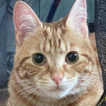 Mr_Expence member profile picture