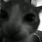 View fitz_zk's Profile