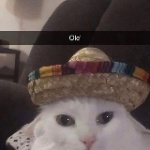 Kirie_cc member profile picture