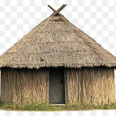 Hut Shape Shed