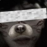 user_ujyh41ce2tvokxno member profile picture