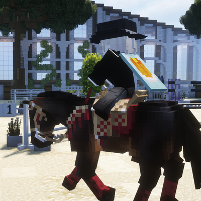 Swem Sever 2.0