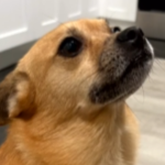 LilNugg3t member profile picture