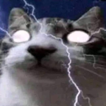 starmanwomp member profile picture