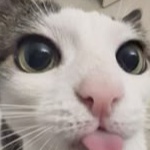 View SrtaNaaomi's Profile